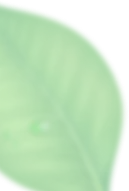 Decorative Shape for Best Spa & Massage in Nibm Pune